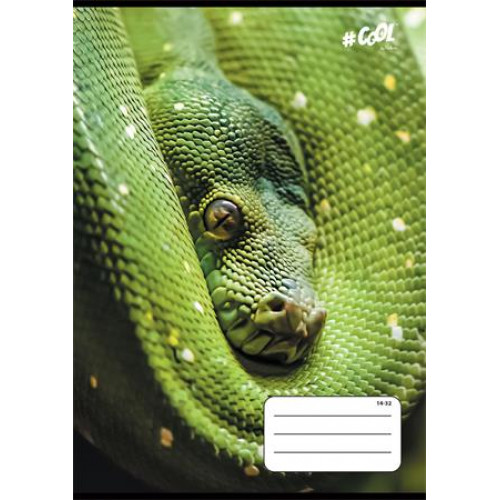 Cool By Victoria Füzet tűzött A5 vonalas 32lap 1. osztály Animals 14-32