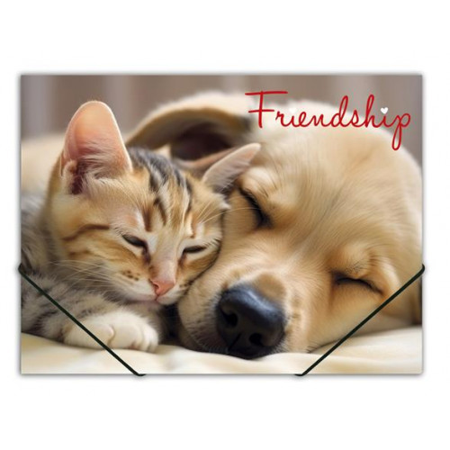 Panta Plast Gumis mappa 15mm PP A4 Friendship