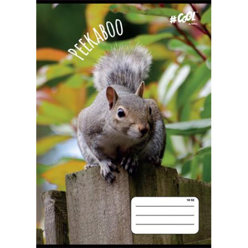 Cool By Victoria Füzet tűzött A5 vonalas 32lap 2. osztály Peekaboo 16-32