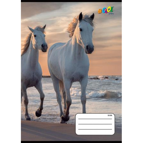 Cool By Victoria Füzet tűzött A5 vonalas 32lap 3. osztály Horses 12-32