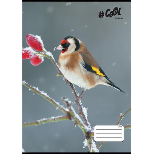Cool By Victoria Füzet tűzött A4 vonalas 32lap Little birds 81-32