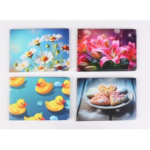 Diák- és igazolványtartó fekvő 6 betét lappal mintás PVC Többlapos lány