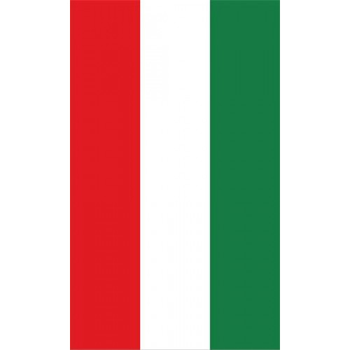 Zászló asztali magyar címer nélkül 15x25cm