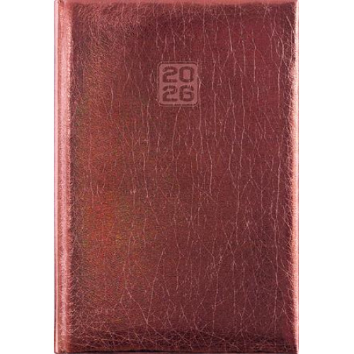 Dayliner Naptár tervező B6 heti Mirror bronz (2026)