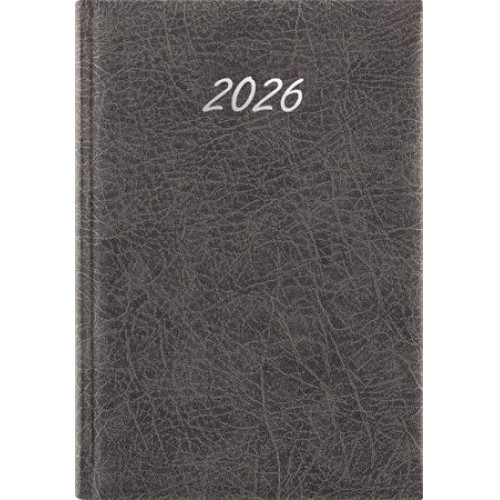 Dayliner Naptár tervező A5 napi Rebel szürke (2026)