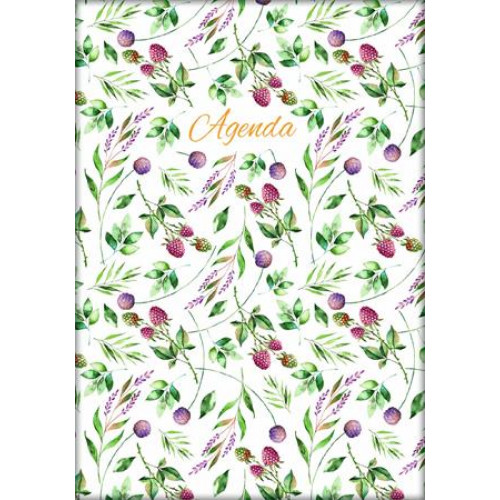 Dayliner Naptár tervező A5 napi Colors Berries (2026)