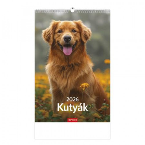 Toptimer Naptár fali Kutyák (2026)