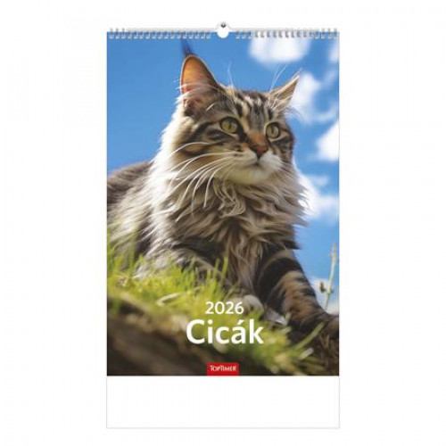 Toptimer Naptár fali Cicák (2026)