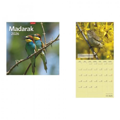 Toptimer Naptár fali Madarak (2026)