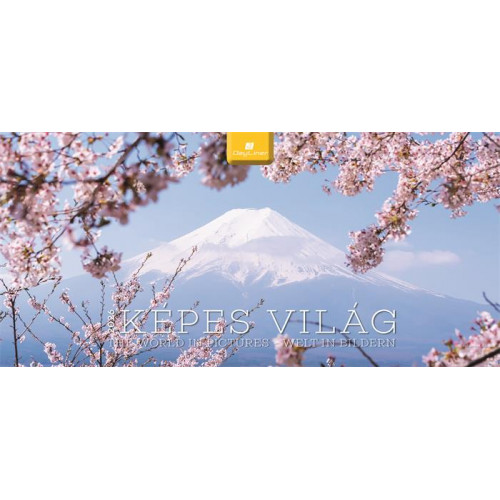 Dayliner Naptár asztali álló Képes világ (2026)