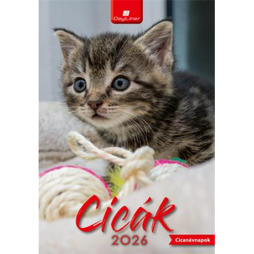 Dayliner Naptár fali Cicák (2026)