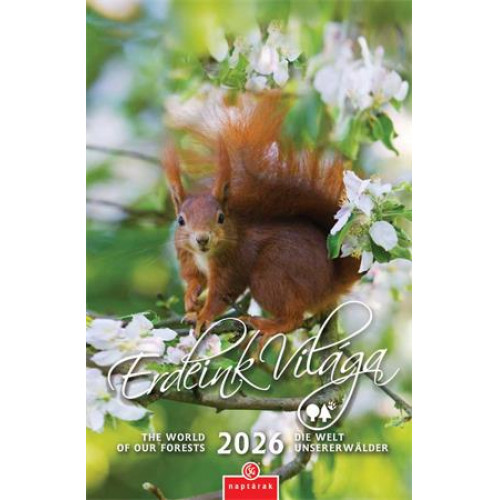Csg Naptár fali Erdeink világa (2026)