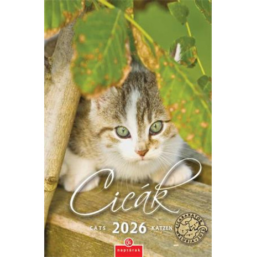 Csg Naptár fali Cicák (2026)