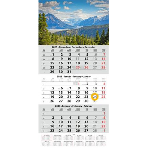 Dayliner Naptár speditőr három hónapos egy tömbös (2026)