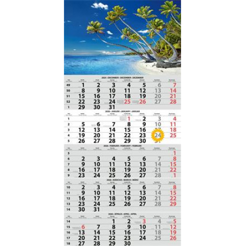 Dayliner Naptár speditőr öt hónapos egy tömbös (2026)