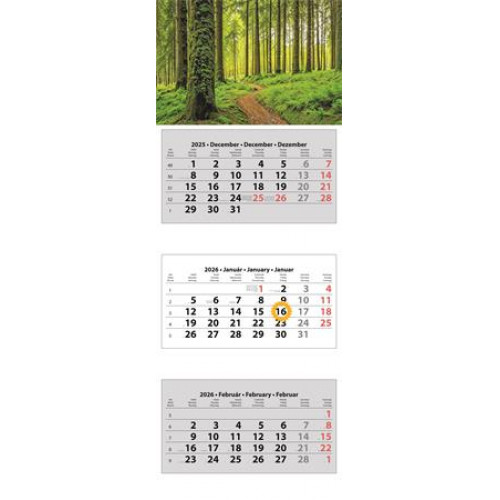 Dayliner Naptár speditőr három hónapos három tömbös (2026)