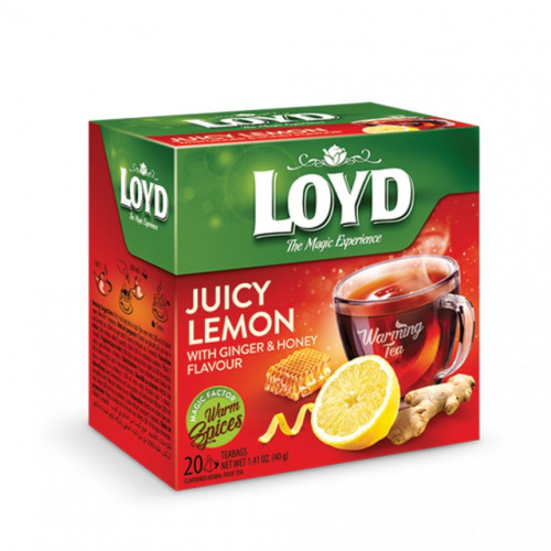 Loyd Gyümölcstea 20x2g Piramis gyömbér-citrom-méz