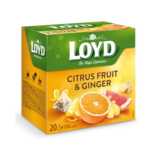 Loyd Gyümölcstea 20x2g Piramis citrusok-gyömbér