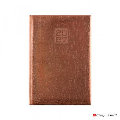 Dayliner Naptár tervező B6 heti Mirror bronz (2027)