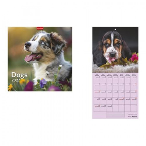 Toptimer Naptár fali Dogs (2027)