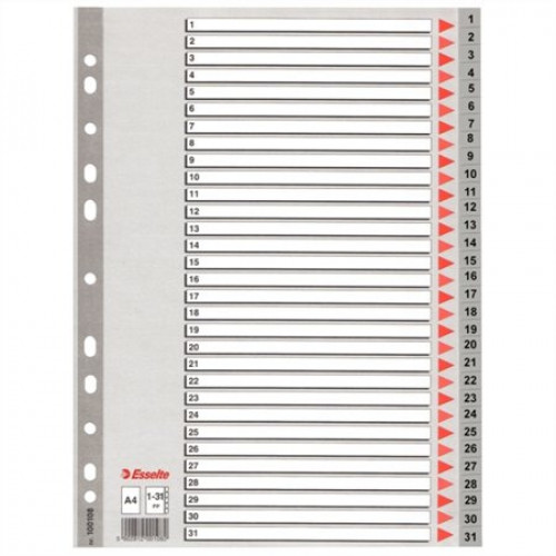 Esselte Regiszter műanyag A4 1-31 szürke