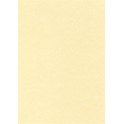 Apli Előnyomott papír A4 95g pergamen hatású pezsgő