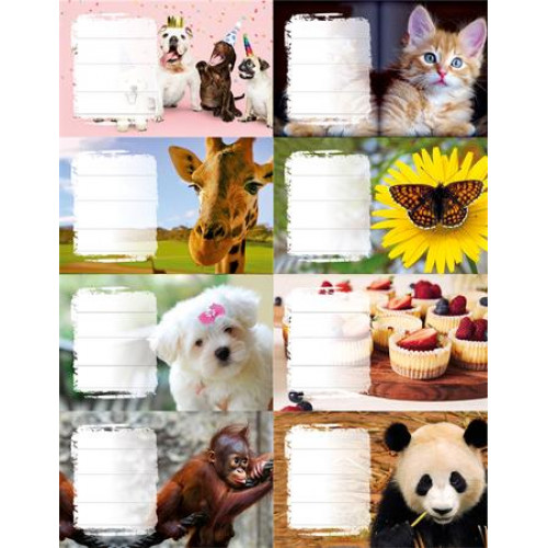 Panta Plast Füzetcímke 24db Girls