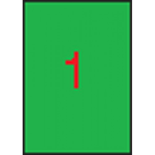 Apli Etikett 210x297mm színes neon zöld 100 etikett/csomag